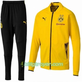 Borussia Dortmund Treningsdresser Gul 2018/19